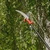 Sprout Haven -Sprout Haven 25mm telescopic tree cutter 1609855265 1 l