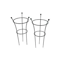 Botanical Herbaceous Plant Support Large Twin Pack