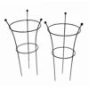 Botanical Herbaceous Plant Support Small Twin Pack