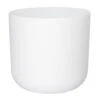 Lisbon Planter White D24Cm -Sprout Haven lisbon planter white d24cm 1628933256 l
