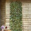 Maple Leaf 180 X 90Cm Trellis -Sprout Haven maple leaf 180 x 90cm trellis 1608558904 l