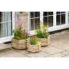 Marford Large Planter Zest 2 Marford Large Planter Zest -Sprout Haven marford large planter zest 1627136531 l