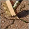 Paving Brush Telescopic -Sprout Haven paving brush telescopic 1610106435 l