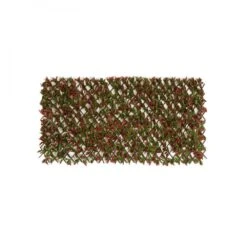 Red Variegated Beech Trellis 1m X 2m