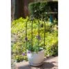 Scroll & Ivy Mini Pot Trellis Bronze -Sprout Haven scroll ivy mini pot trellis bronze 1610364980 l