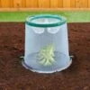 SUNNY PLANTING BELL -Sprout Haven sunny planting bell 1000x1000 63dfc43462ed8 l