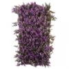 Vivid Violet Trellis 180 X 90 2 Vivid Violet Trellis 180 X 90 -Sprout Haven vivid violet trellis 180 x 90 1608559540 l